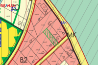 REMAX Delux