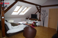 REMAX Delux