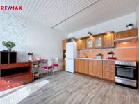 REMAX Delux