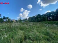 REMAX Delux
