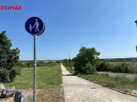 2877056.jpeg