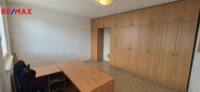 REMAX Delux