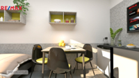 REMAX Delux