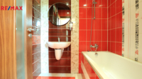 REMAX Delux