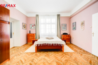 REMAX Delux