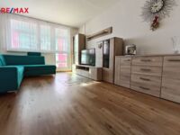 REMAX Delux