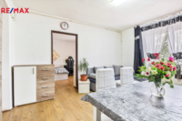 REMAX Delux