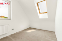REMAX Delux