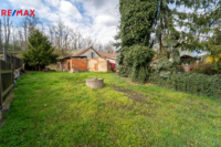 REMAX Delux