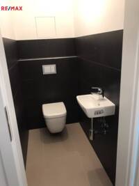 REMAX Delux
