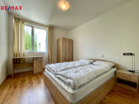 REMAX Delux