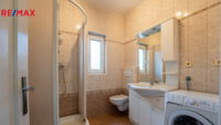 REMAX Delux