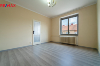 REMAX Delux