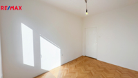 REMAX Delux