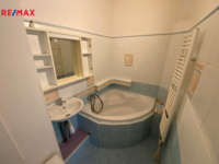 REMAX Delux