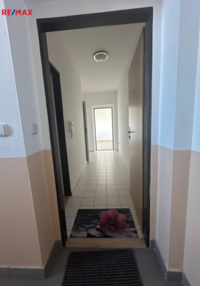 2763583.jpg