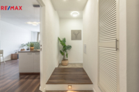 REMAX Delux
