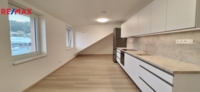 REMAX Delux