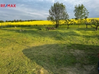 Prodej pozemku pro bydlení, 1118 m2, Vilémov
