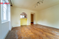 REMAX Delux