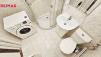 REMAX Delux