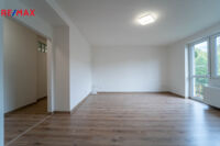 REMAX Delux