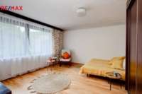 REMAX Delux