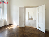 REMAX Delux