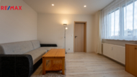 REMAX Delux