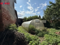 2938746.jpg