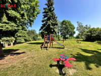 REMAX Delux