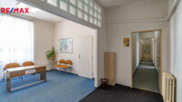 REMAX Delux