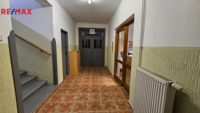 REMAX Delux