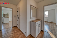 REMAX Delux