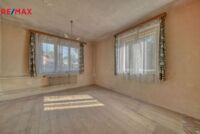 REMAX Delux