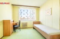 REMAX Delux