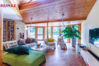 REMAX Delux