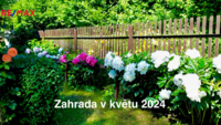 2764455.jpg
