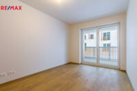 REMAX Delux