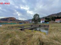 REMAX Delux