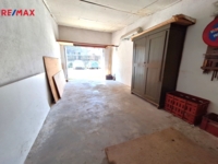 REMAX Delux
