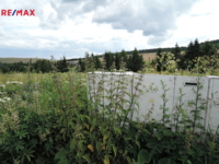 REMAX Delux