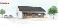 REMAX Delux