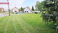 REMAX Delux