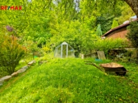 REMAX Delux