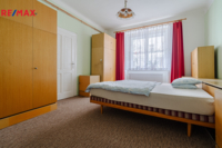 REMAX Delux