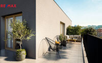 REMAX Delux