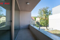 REMAX Delux