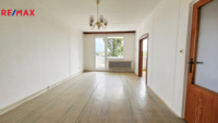 REMAX Delux
