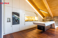 REMAX Delux